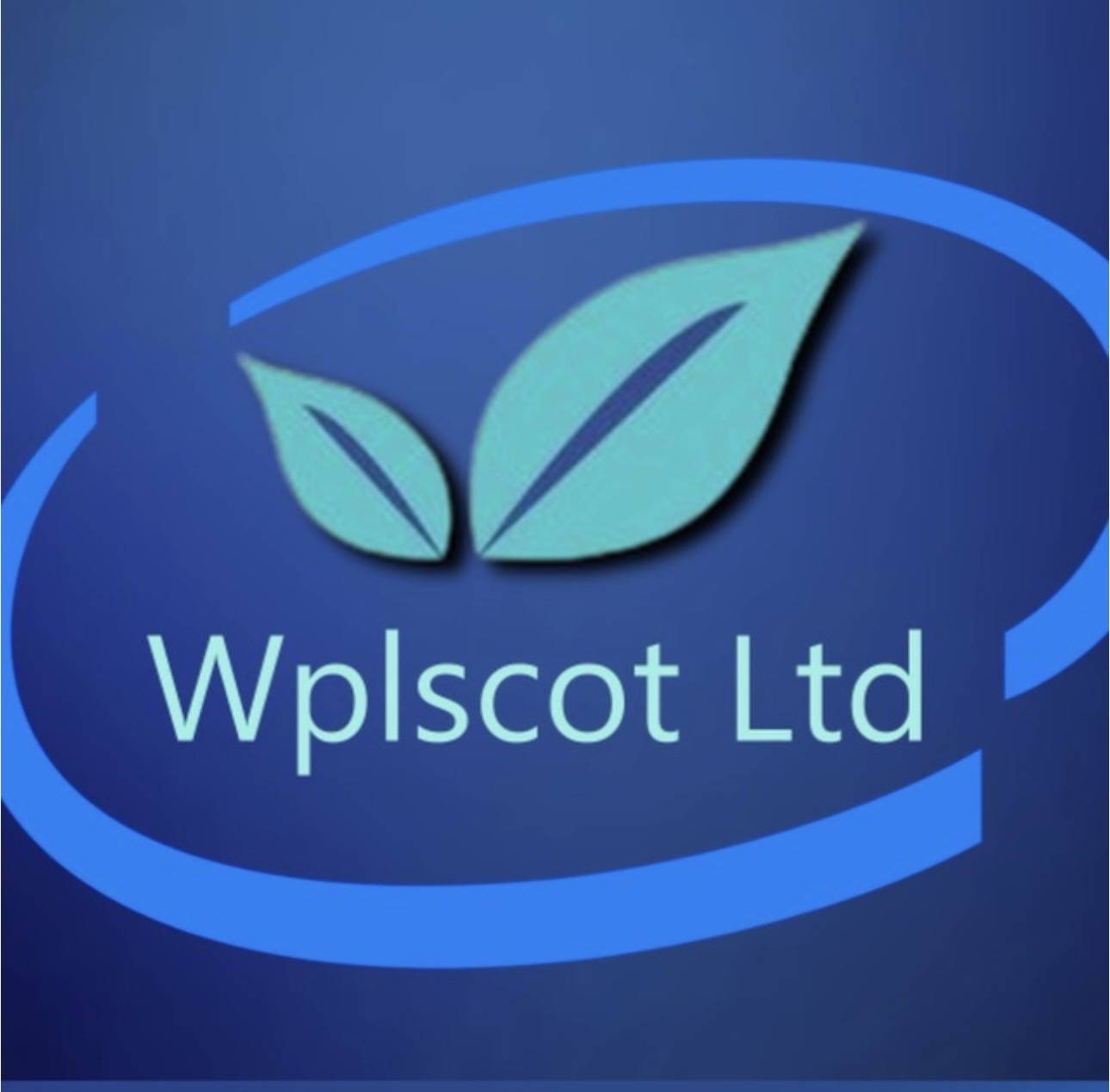 Wplscot Ltd logo